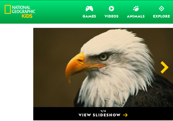 Screenshot_2020-04-02 Bald Eagle